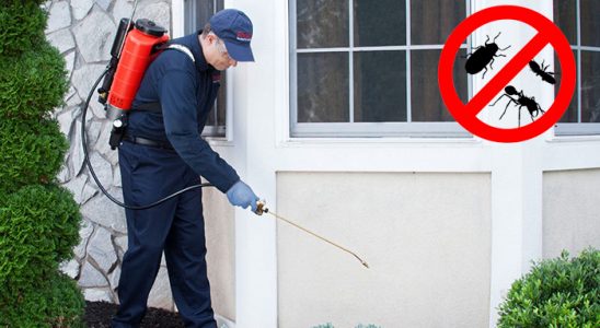 Pasinler Dezenfeksiyon böcek ilaçlama ve haşere kontrolü — ilaclama-tr.com